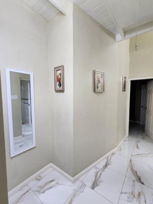 Spacious Luxury 3 Bed Rooms In Κίνγκστον Εξωτερικό φωτογραφία